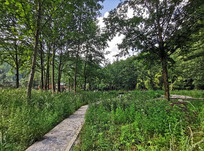 ��ɫ��̬ũ���ֽ�������