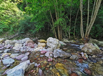 ������ʯͷ