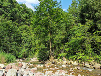 СϪ��������ɫɭ��