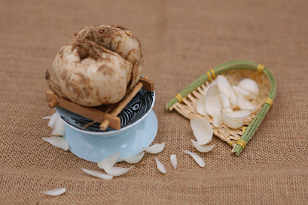 �ٺ�����