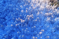 ���˰���ѩҰ������ڡ�����ģ�