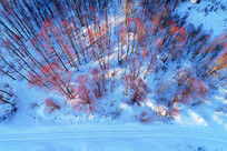 ���ĺ���������ڡ 