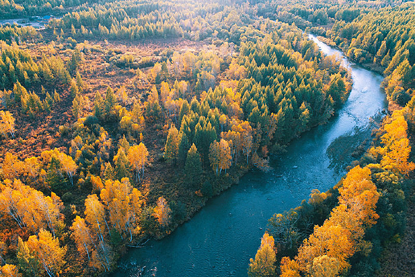 �������ӽ�ɫ����