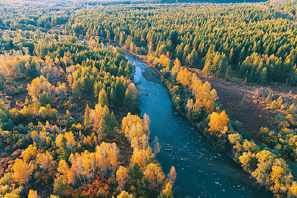 ����ɭ�ֺӽ�ɫ�羰