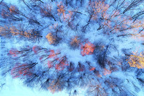 ����ѩԭ�����ַ羰