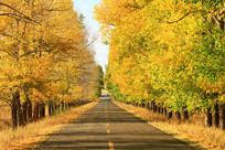 �������ֹ�· 