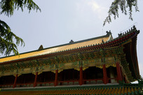 �ൺտɽ��-�ؾ�¥ 