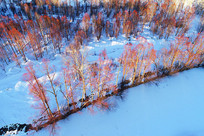 ѩԭ��������