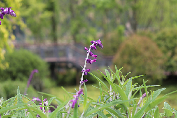 һ����β��