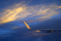 ��������ϼ