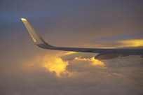 ��ϼ���� 