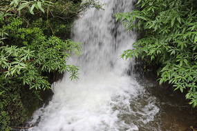 峺ٲ