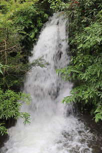 Ȼٲ