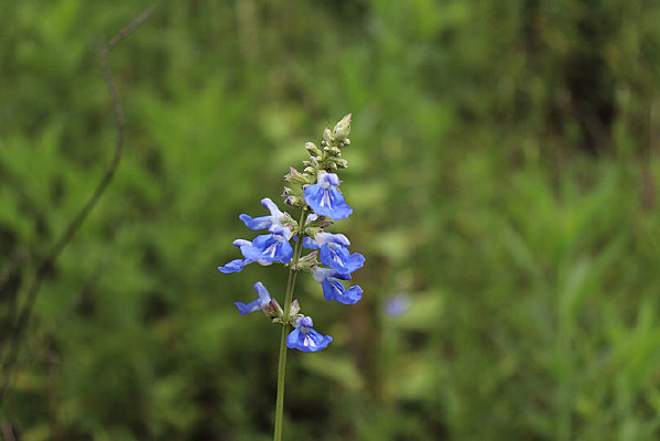 һ����β��