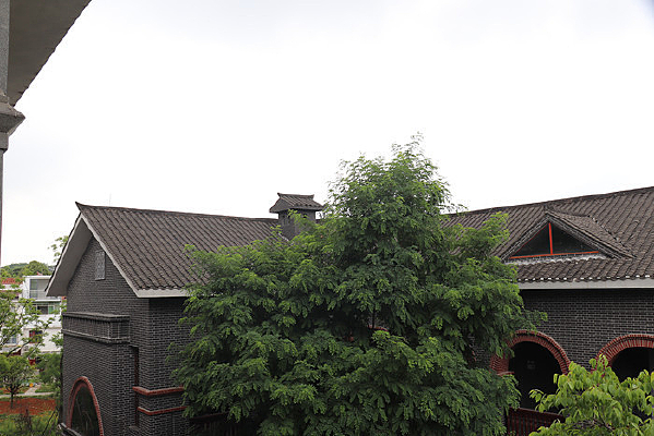 ������Ľ�����