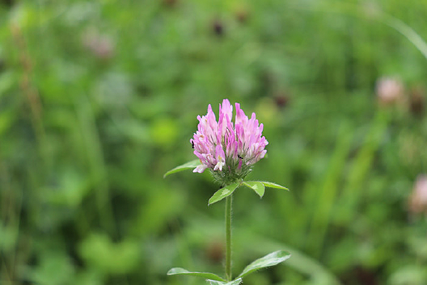 һ��쳵���