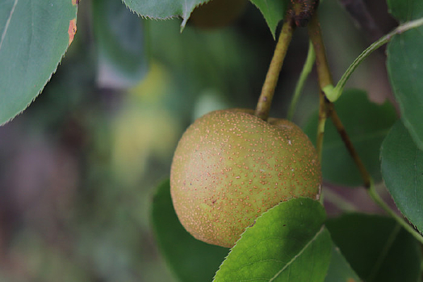 �óԵ�����