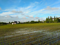 ��Ұˮ������