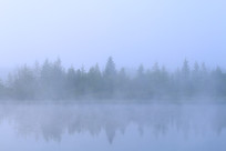 ���˰���������������������