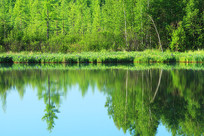 ���˰�������������