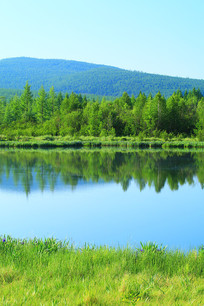 ���˰���ɭ�ֺ��� 