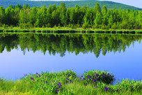 ���˰���ɭ�ֺ�ʪ�ط��