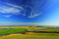 ���ױ�����ԭֲ����ï��������