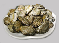 һ�����ʱ���