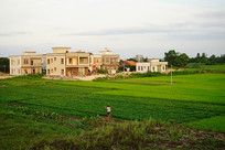 ��ׯũ����