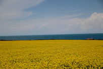 �ຣ���Ͳ˻�