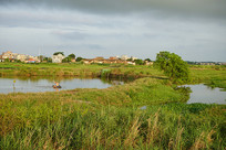 �������羰