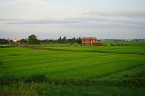 ���ũ����