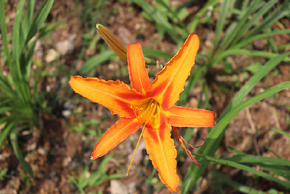 ��ƺ�е����