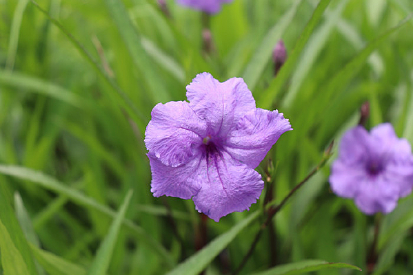 ���ϵ�������