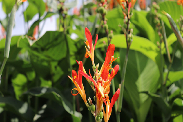 �����µ����˽�