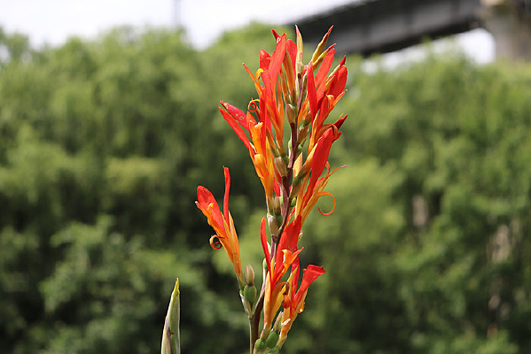 һ�����˽�