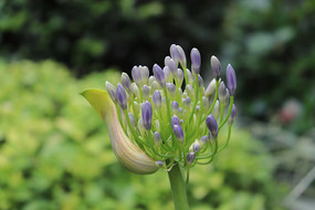 һ�������