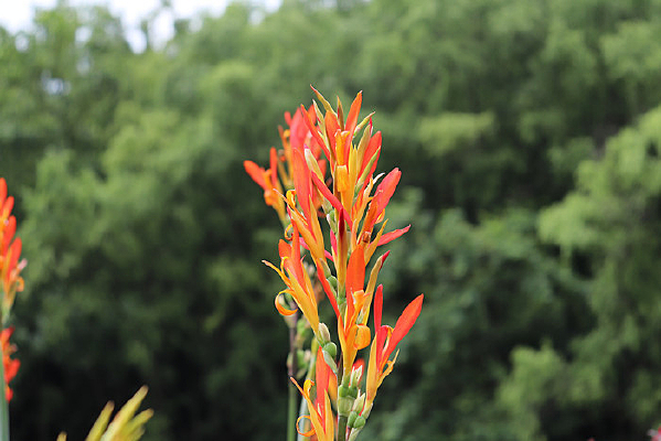 һ�����˽�