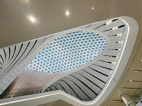 �����»���񷶥