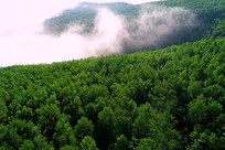 ���˰���ï����ɫ���ֳ���