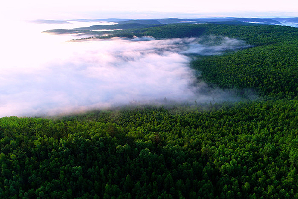 ���˰���ԭʼɭ����������