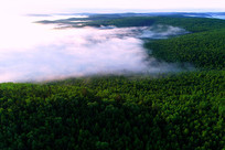 ���˰���ԭʼɭ����������