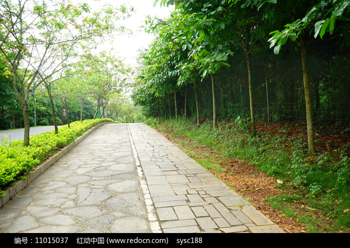 公园路道高清图片下载_红动中国