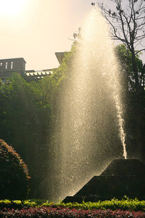 ��ʽ԰�־�����Ӱ