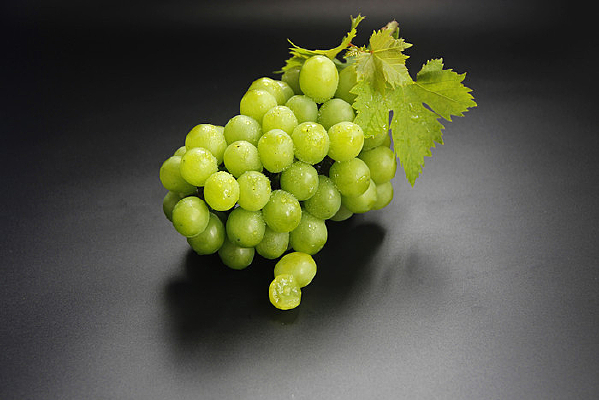 �ڵ��ز�������