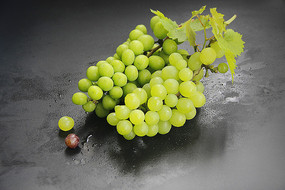 ����ڵ�����