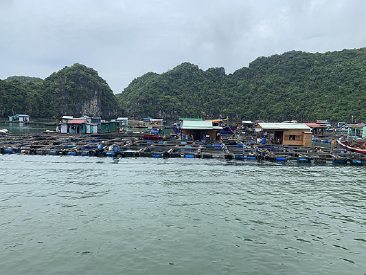 ���ŵ�ˮ�Ͻ������