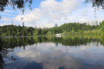 �����µĺ�ˮ