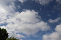 �����Ʋ�