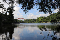 ��Ҷ�µĺ�ˮ